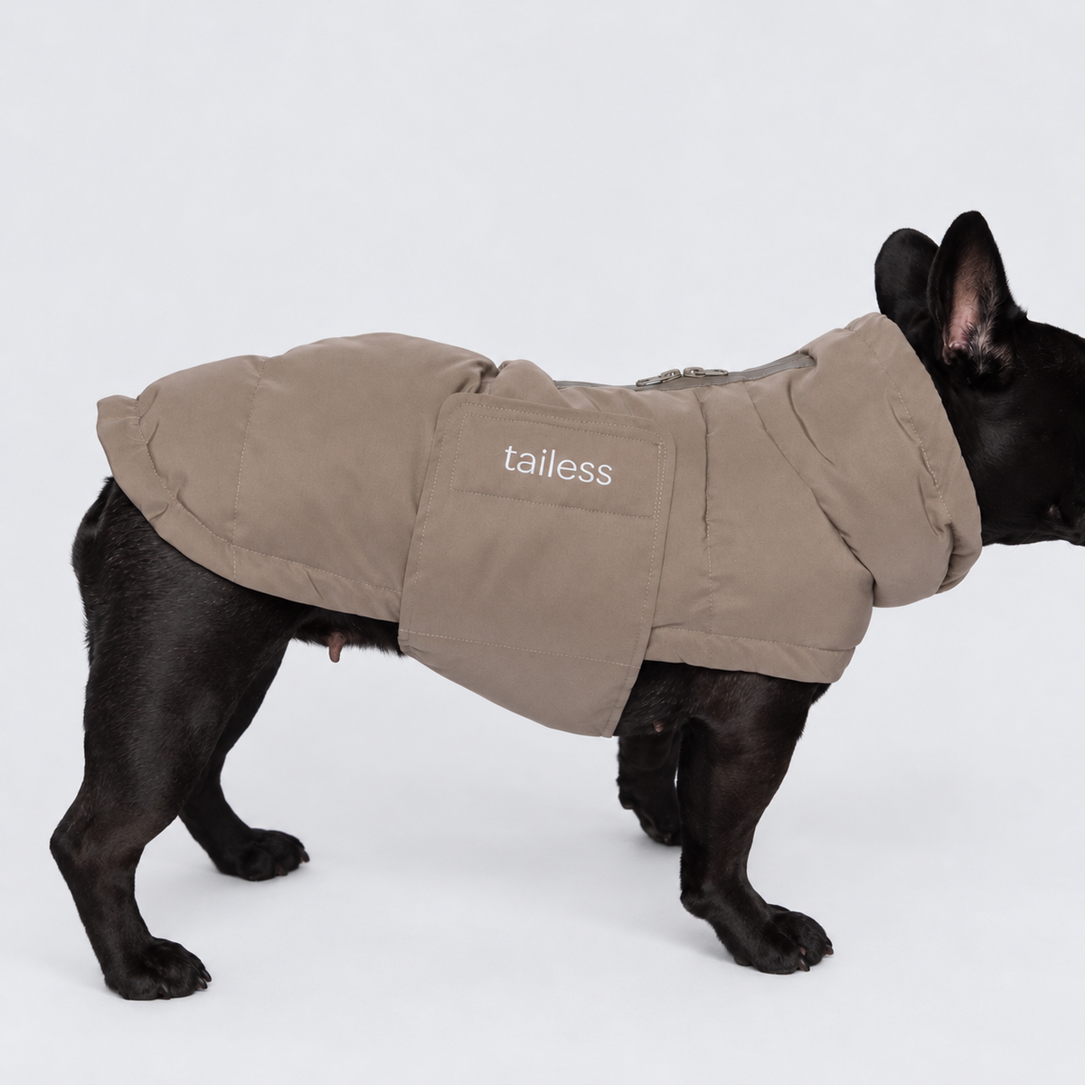 Warm dog coat designed for French Bulldogs and other dog breeds with a broader build.