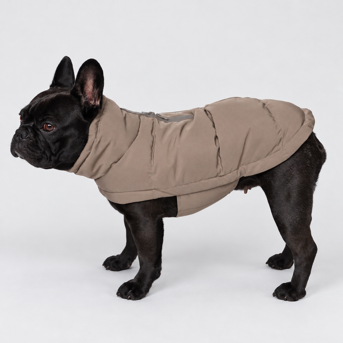 Värmande hundkappa designad för fransk bulldog och andra hundraser med bredare kroppstyp.