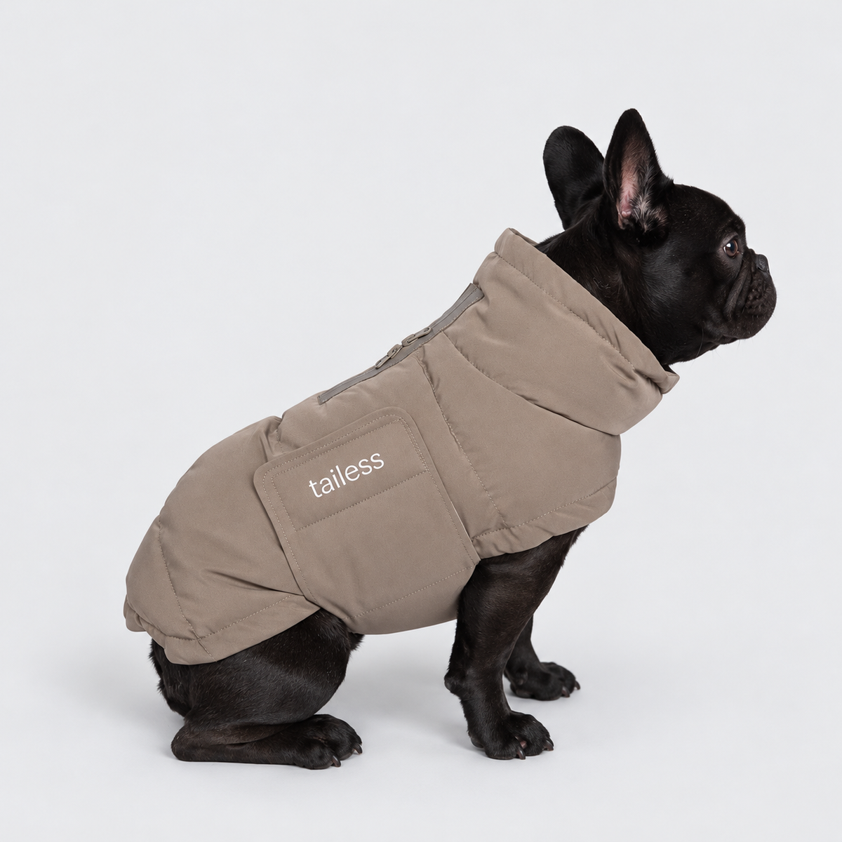 Vinterjacka designad för fransk bulldog och andra hundraser med bredare kroppstyp